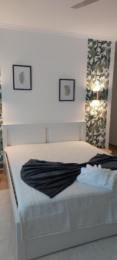 Moinhos A Sombra Villa Pedrogao  Eksteriør billede